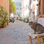 L'agata *