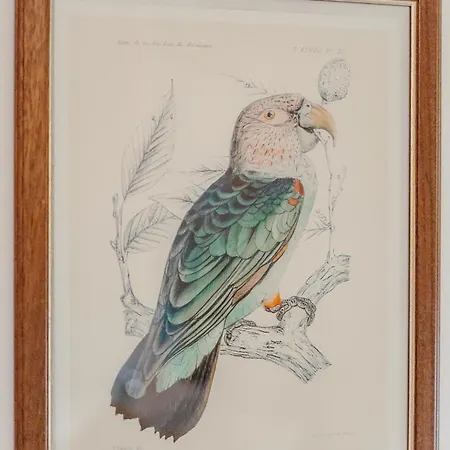 L'agata