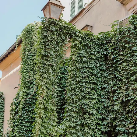 L'agata * Roma