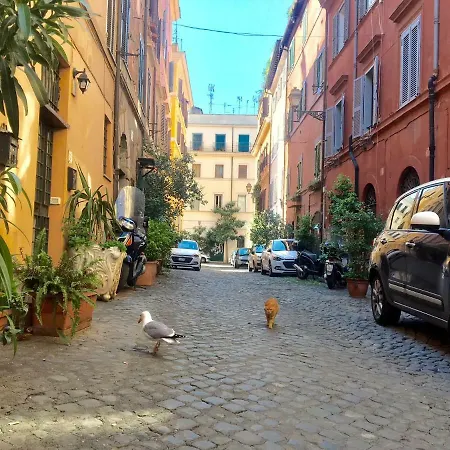 L'agata Roma
