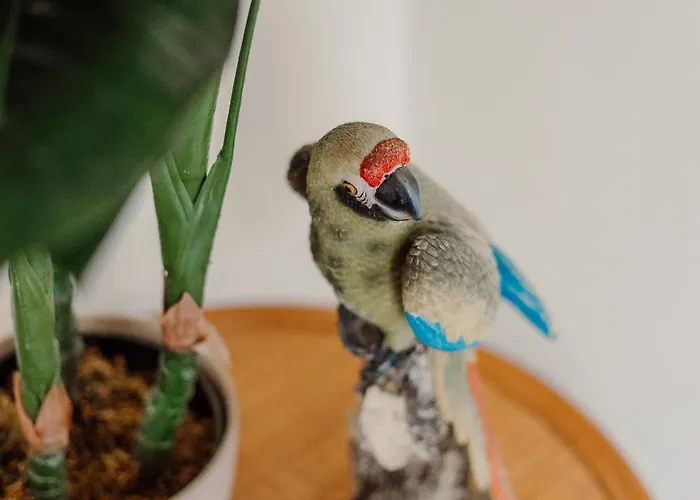 L'agata Casa vacanze *