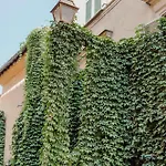 L'agata * Roma